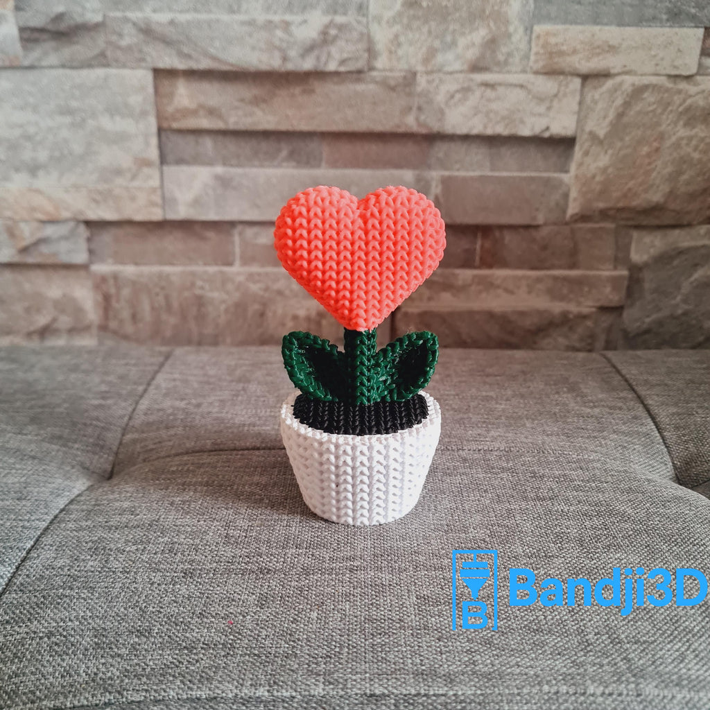 Plante Cœur 3D effet tricot – Objet Déco Mignon & Cadeau Original | Bandji3D Bandji3D