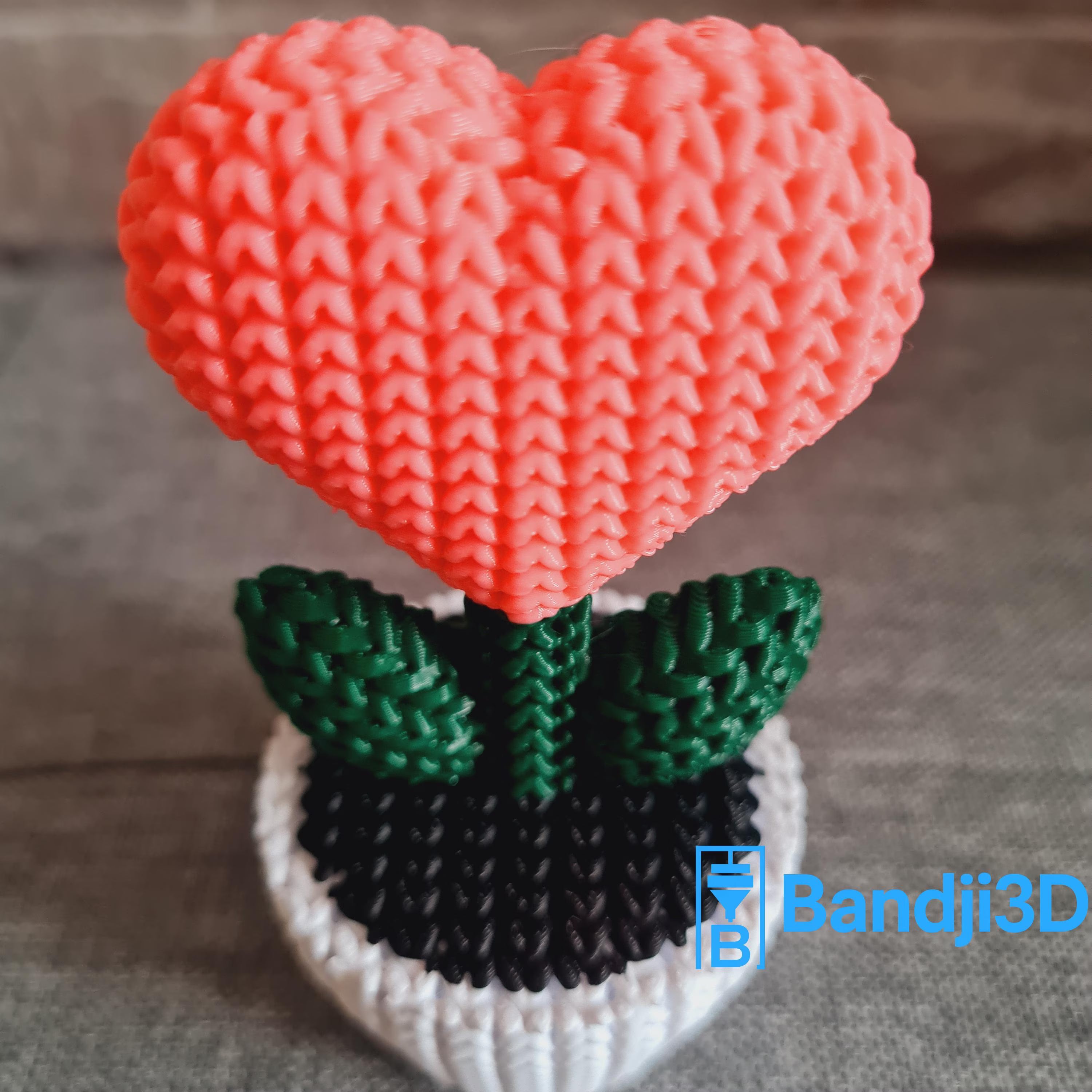 Plante Cœur 3D effet tricot – Objet Déco Mignon & Cadeau Original | Bandji3D Bandji3D