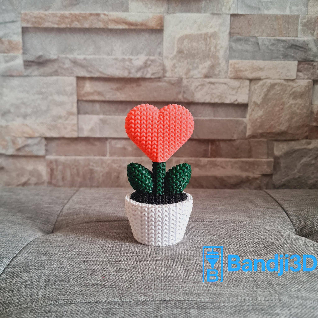 Plante Cœur 3D effet tricot – Objet Déco Mignon & Cadeau Original | Bandji3D Bandji3D