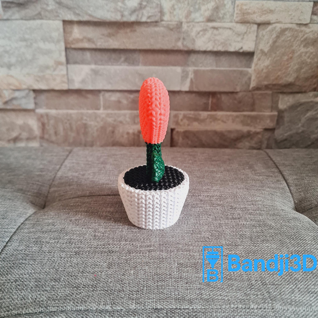 Plante Cœur 3D effet tricot – Objet Déco Mignon & Cadeau Original | Bandji3D Bandji3D