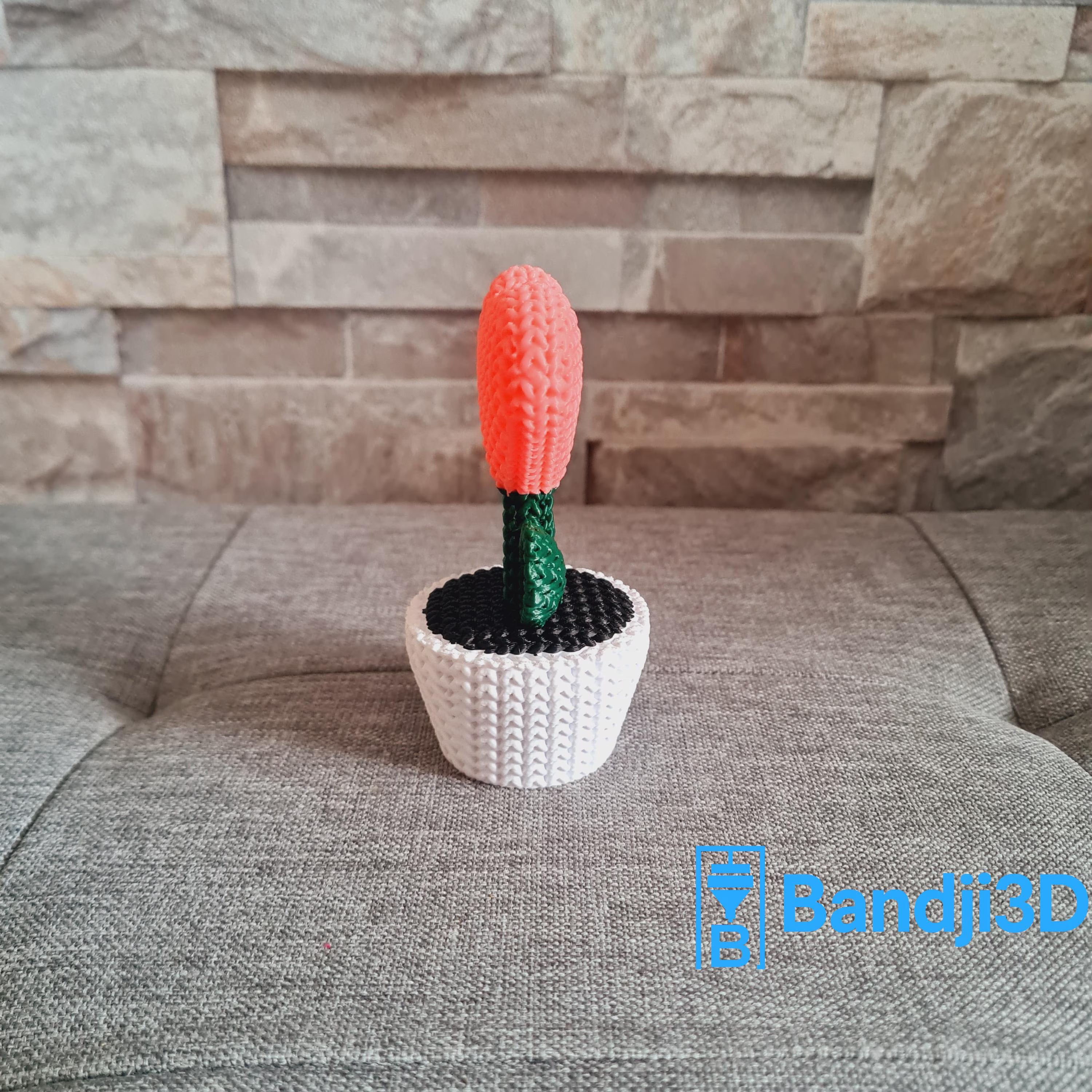 Plante Cœur 3D effet tricot – Objet Déco Mignon & Cadeau Original | Bandji3D Bandji3D