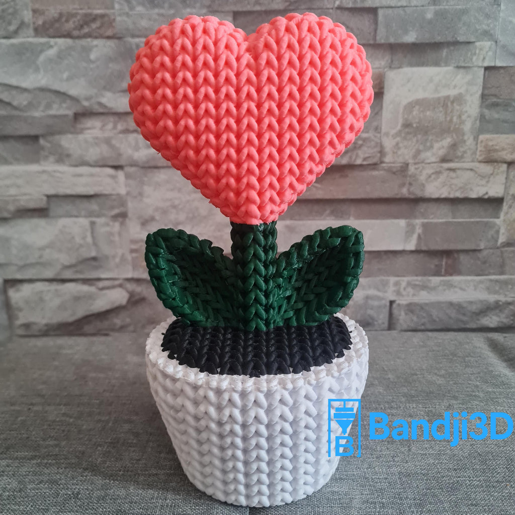Plante Cœur 3D effet tricot – Objet Déco Mignon & Cadeau Original | Bandji3D Bandji3D
