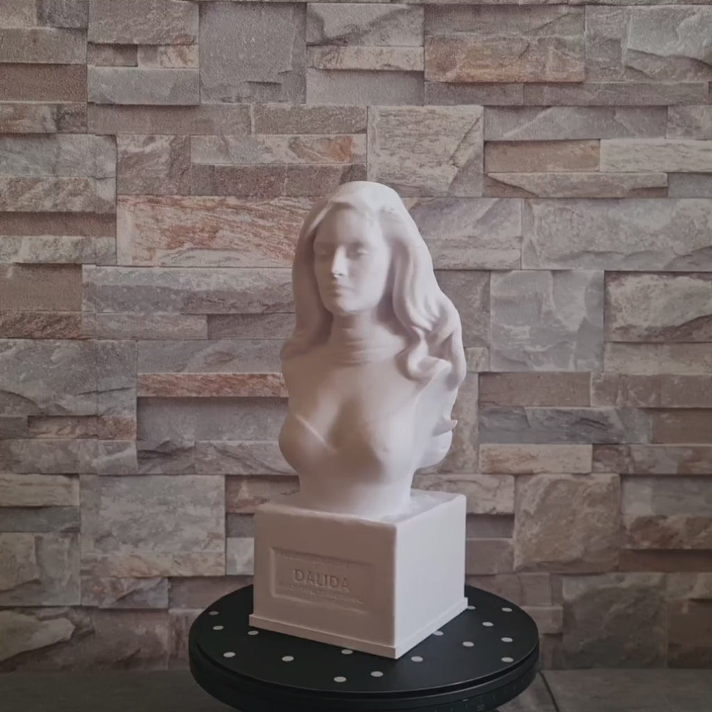 Buste 3D inspiré d’une icône de la chanson française – Sculpture décorative personnalisable 25 cm